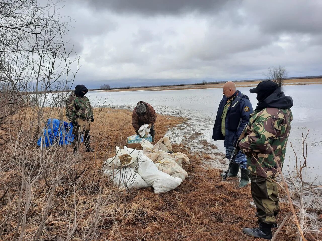 Браконьерство в рыболовстве.