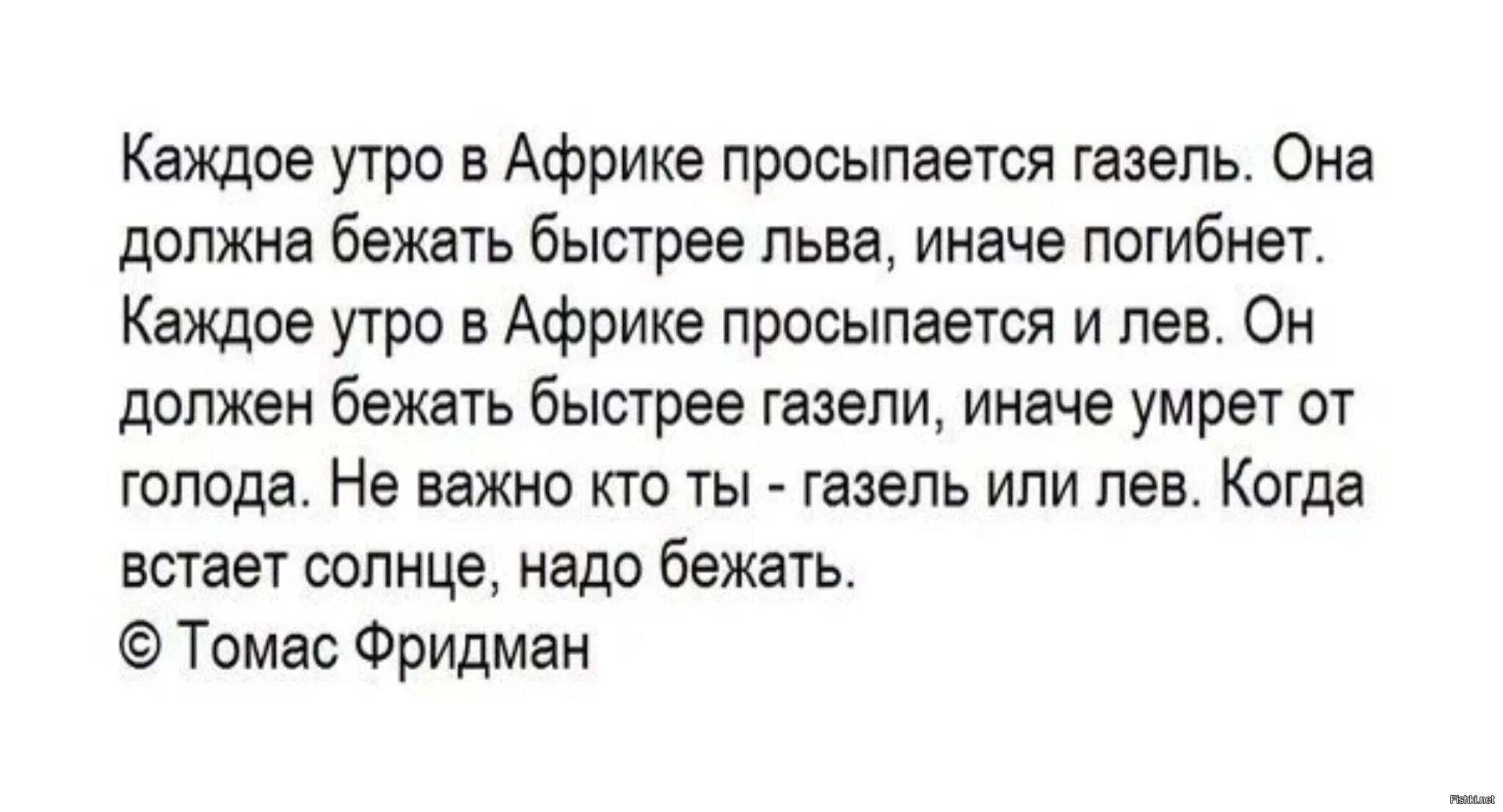 Каждое утро в африке. Каждое утро в Африке просыпается Газель. Каждое утро в Африке просыпается Газель она должна. Когда встает солнце надо бежать. Лев и Газель каждое утро.