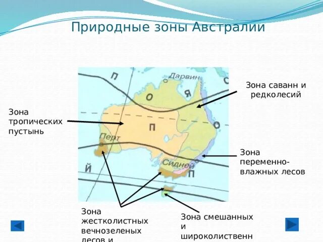 Рельеф и природные зоны австралии. Природные Австралии зоны Австралии. Природные зоны в тропическом климатическом поясе Австралии. Климат и природные зоны Австралии таблица. Климат жестколистные леса Австралии.