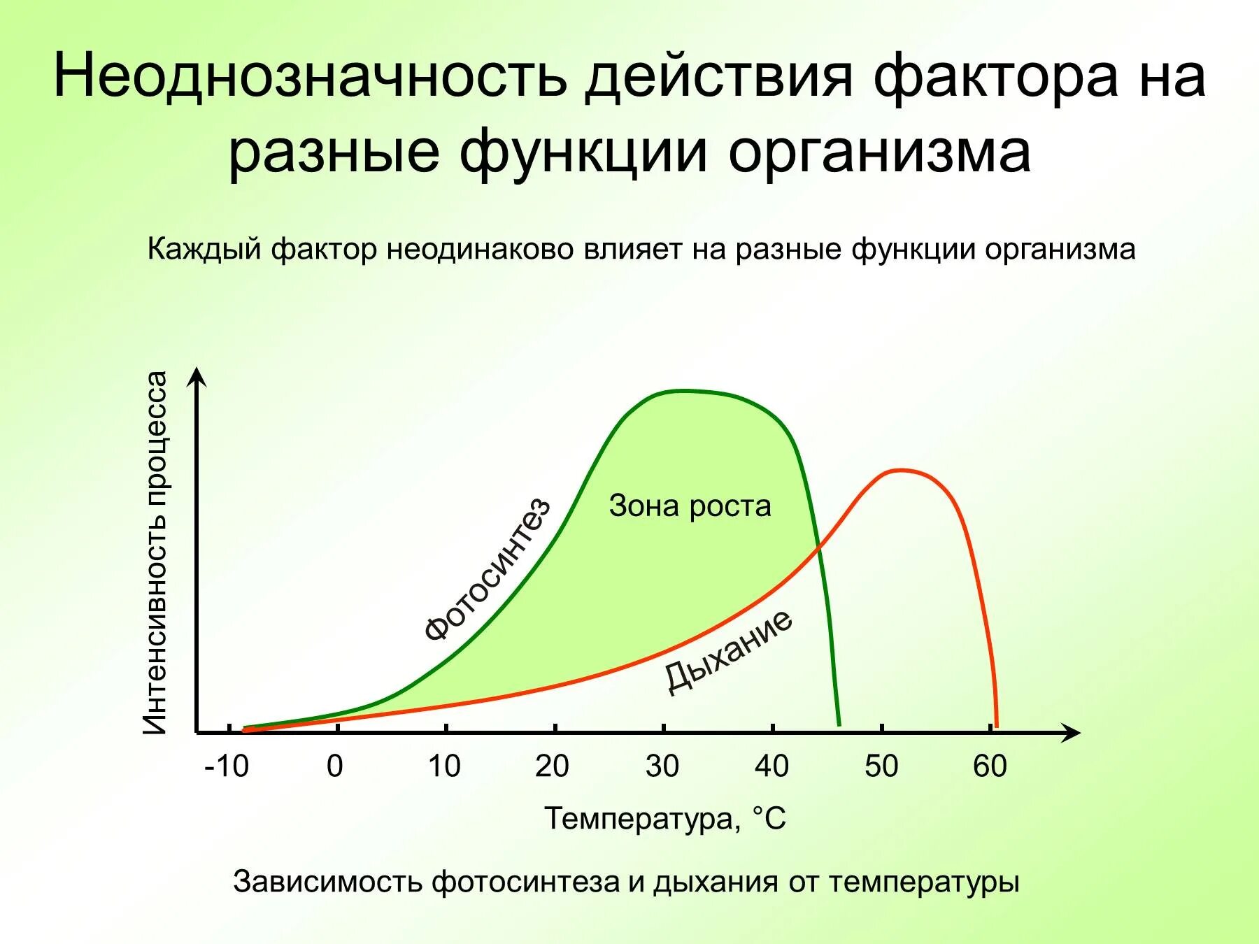 Температура воды это фактор. Влияние температуры на фотосинтез. Зависимость интенсивности фотосинтеза от температуры. Факторы влияющие на фотосинтез. Факторы влияющие на интенсивность дыхания растений.