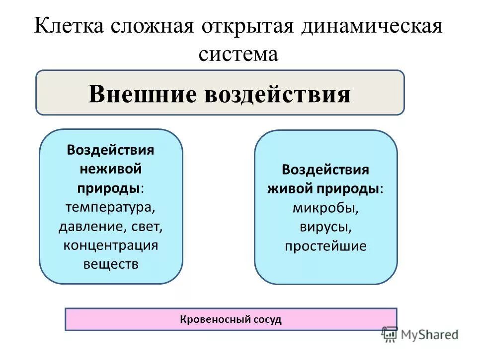 Открытые системы это в информатике. Методическая система обучения. Сложная открытая система. Сложная открытая система. Сложная открытая система.