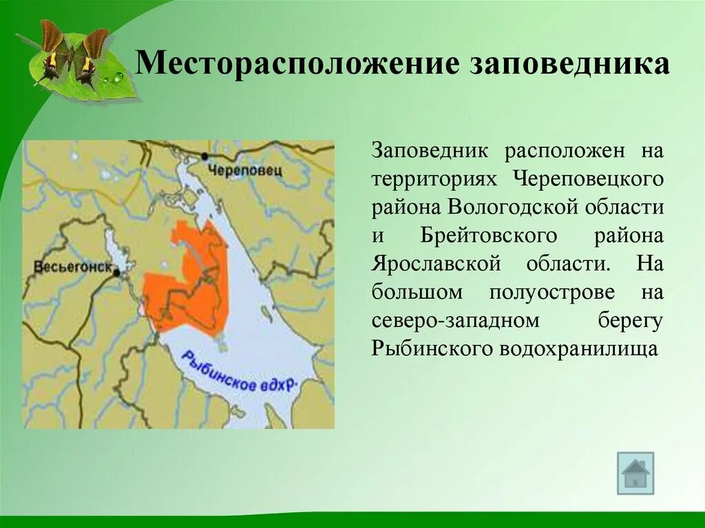 Заповедники Вологодской области. Дарвинский заповедник презентация. Дарвинский заповедник Вологодской области. Дарвиновский заповедник Ярославская область.