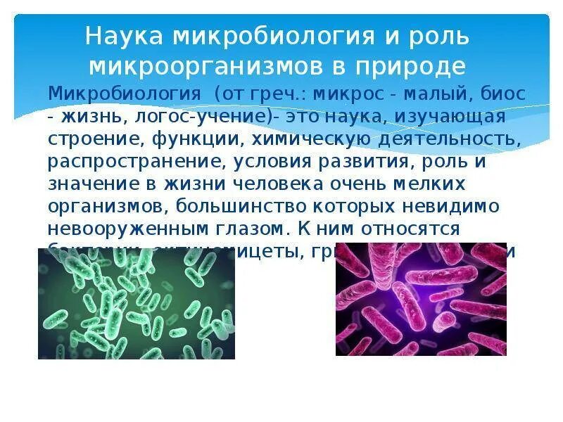 Наука изучающая вирусы. Понятие о микроорганизмах. Распространение микробов в природе. Микробиология презентация. Понятие микробиологии.
