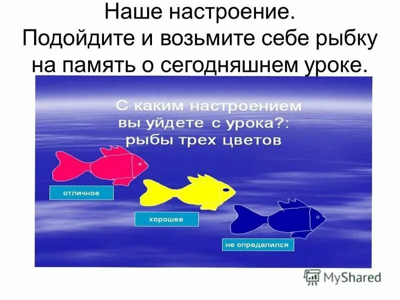 лосось нерка нерест. путь рыбы. жизненный цикл костных рыб. рыбы для детей дошкольного возраста. цикл развития рыбы схема стадии развития.