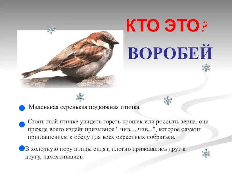 Рассказы ждановны воробушек глава 37. Описание воробья. Воробей описание для детей. Воробей описание птицы. Воробей рассказ для детей.