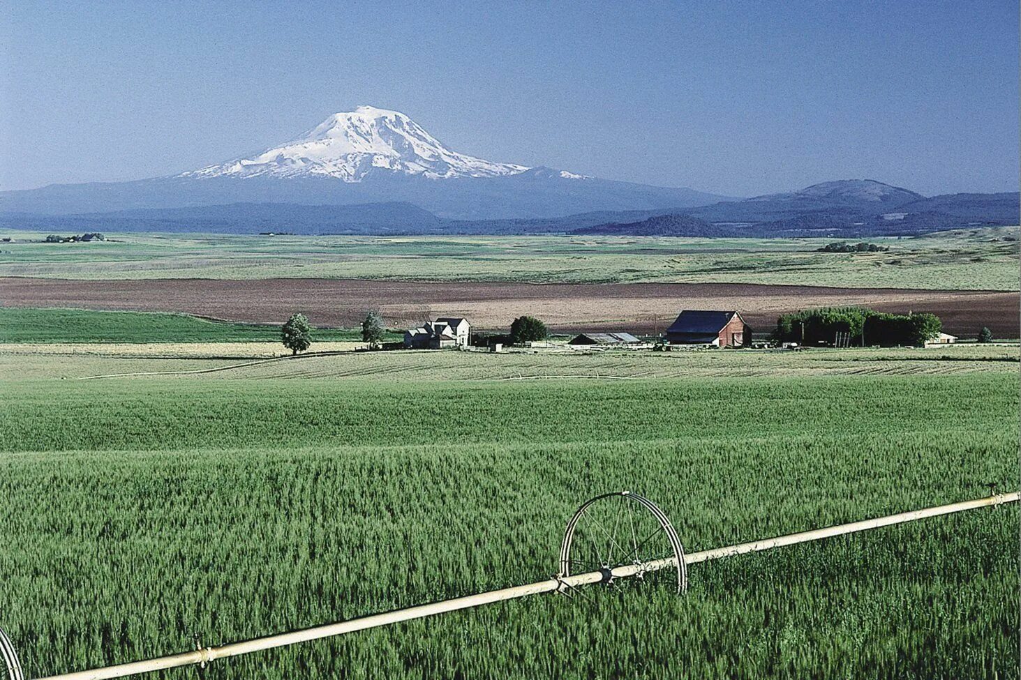 Северо восток хозяйство. Фермерское хозяйство в Северной Америке. Сельское хозяйство США Айдахо. Штат Вашингтон поля. Сельское хозяйство Северной Америки.