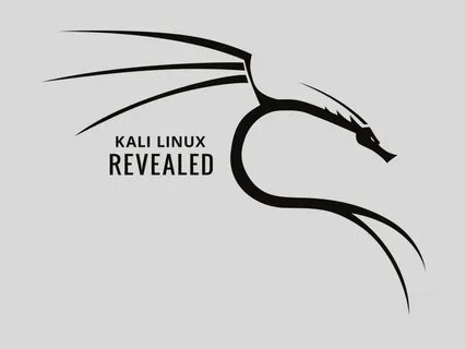 Burp kali linux