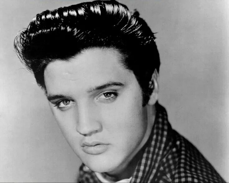 Как сделать прическу элвиса пресли Tippi & Midnight on Instagram: "Happy birthday to the King!!! We you Elvis! #elv