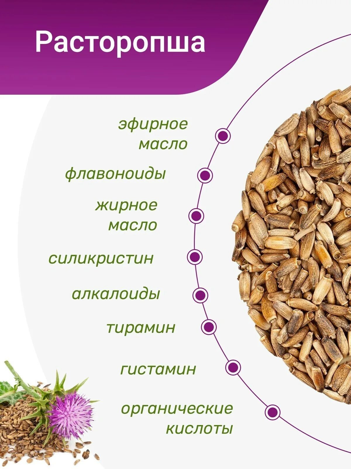 Польза расторопши отзывы. Польза расторопши отзывы