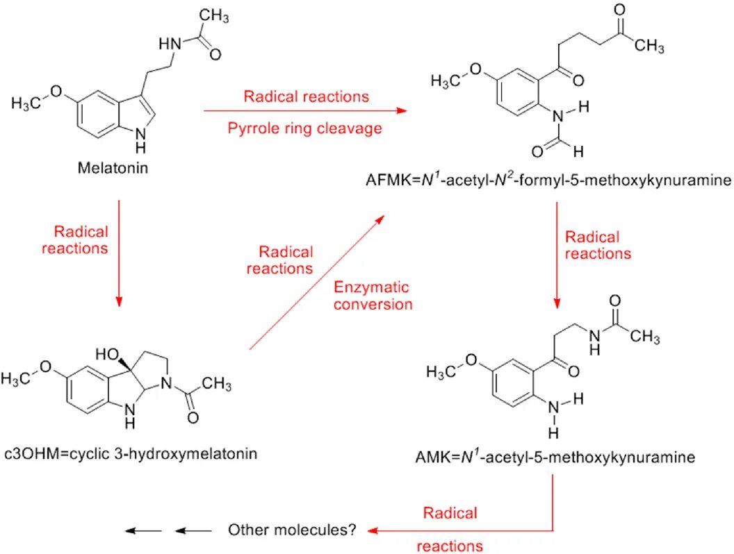Синтез мелатонина. Мелатонин антиоксидант. Антиоксидантный эффект мелатонина. Антиоксидантная функция мелатонина. Схема синтеза мелатонина.