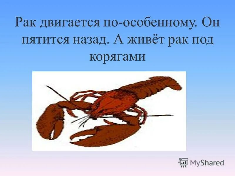 Жил был рак. Рачки передвигающиеся. Где обитают рачки. Пятиться назад картинка. Пятиться.