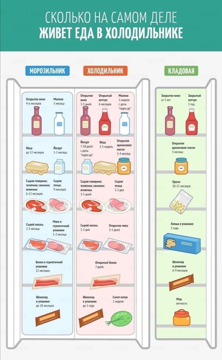 Хранение в холодильнике. Холодильник с продуктами. Хранение в холодильнике схема. Правильное хранение продуктов в холодильнике.