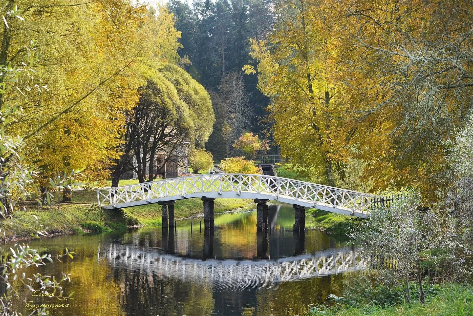 пушгоры осенью михайловское. пушкинские горы поселок. михайловское пушкинские горы. крепость воронич пушкинские горы. пушкинские горы парк тригорское.