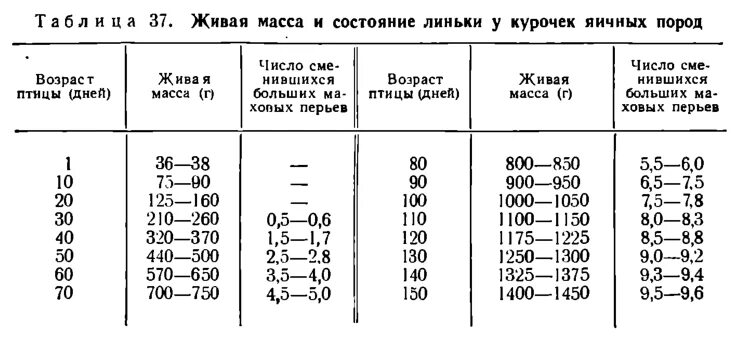 Общая живая масса. Масса птиц. Вес птиц. Определение живой массы птицы. Крочетка масса птицы.