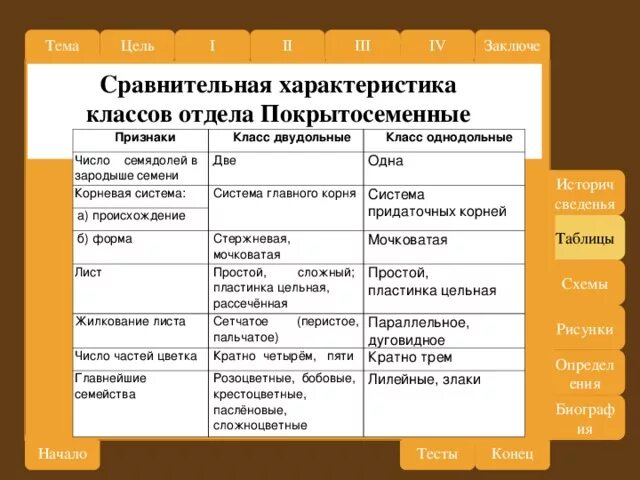 Признаки классов отделов покрытосеменные. Таблица по биологии Однодольные двудольные Покрытосеменные. Сравнительная характеристика классов покрытосеменных растений. Сравнительная характеристика классов отдела Покрытосеменные. Сравнительная характеристика классов.