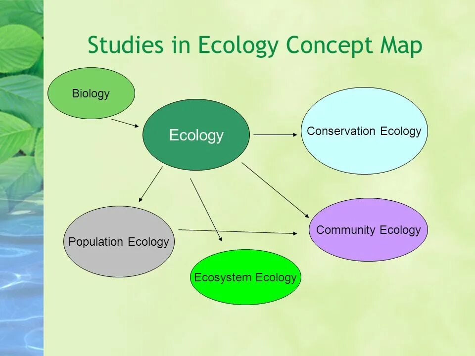 Community ecology. Types of ecology. Introduction to ecology. Ecology study. Reading about ecology