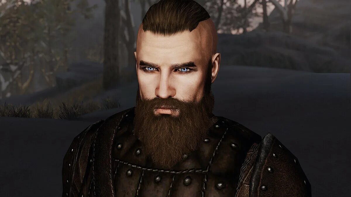 Картинки SKYRIM ПРИЧЕСКИ