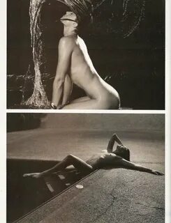 Amanda Beard Nude & Sexy (122 Photos + Videos) .