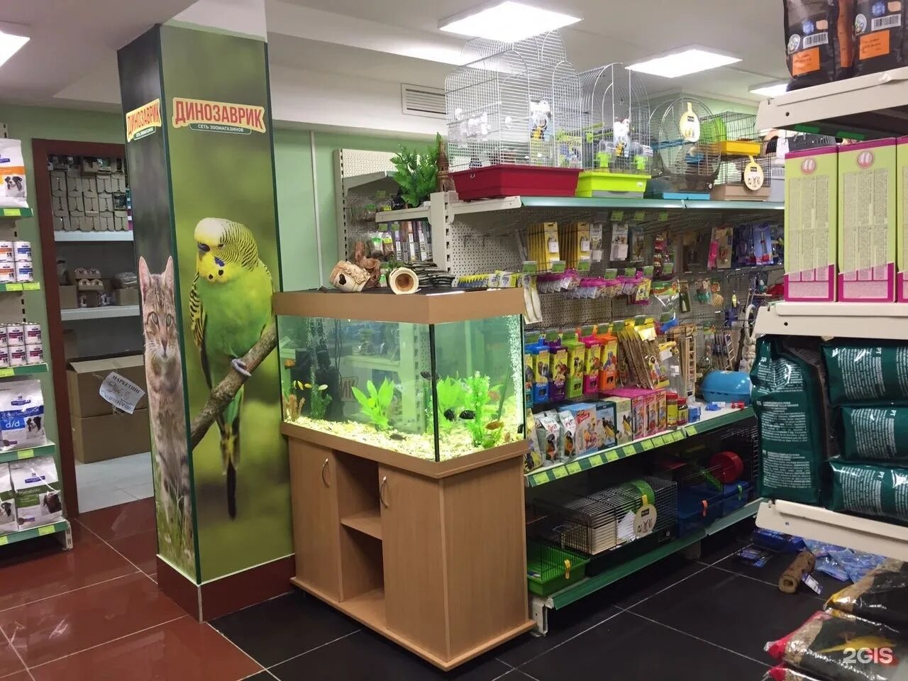 зоомагазин динозаврик в сергиевом посаде. зоомагазин. магазин динозавров. зоомагазин динозаврик коньково. динозаврик магазин для животных.