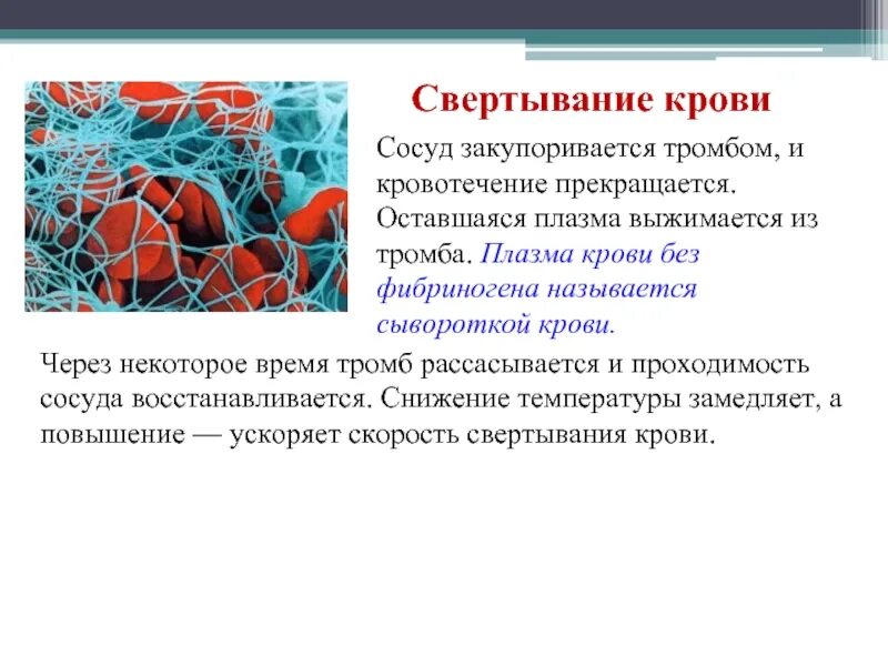 Сосуды при температуре
