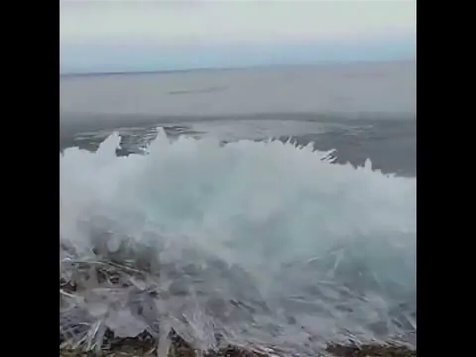 Звенел лед