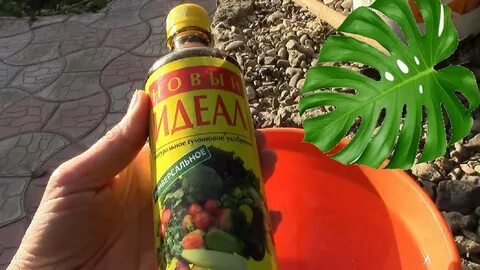 Идеал для цветов