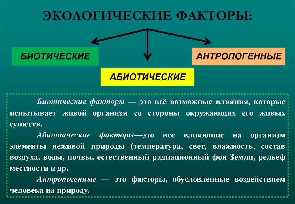 Дать определение живой организм. Экологические факторы это в биологии. Экологические факторы среды. Биотические экологические факторы. Экологические факторы это в экологии.