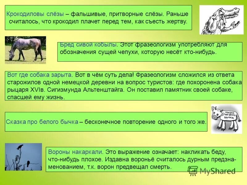 Врет как сивый мерин. Лошадь сивой масти. Сивый мерин. Кобыла значение фразеологизма. Лошадиная улыбка вектор.