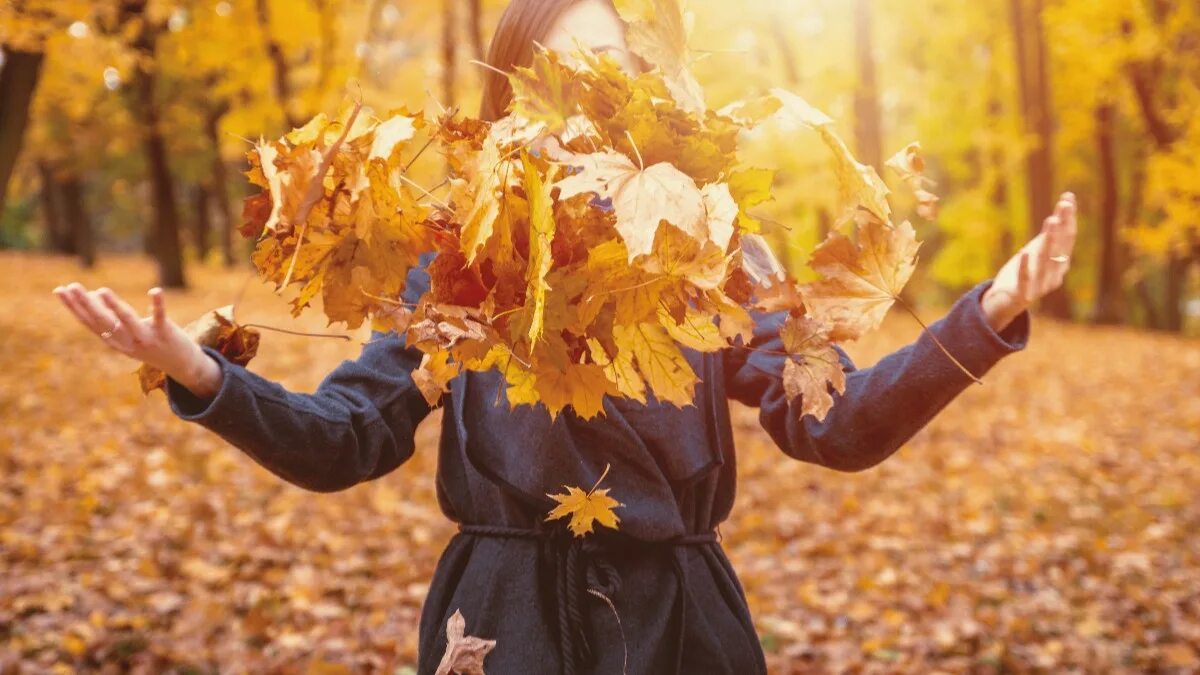 23 сентября человек. 23 сентября 1839 — в москве заложен храм христа спасителя. 23 сентября человек. 23 сентября человек. 23 сентября человек.