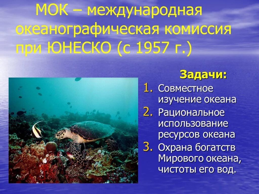 Океан роль в жизни человека. Охрана мирового океана. Презентация на тему мировой океан. Охрана ресурсов океана. Проект изучение мирового океана.