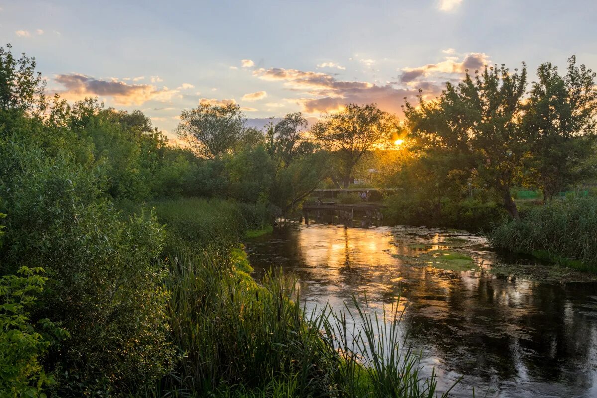 речка тихая сосна. бесшумная река. река тихая сосна острогожск. тихая речка фото. река тихая приозерский район.