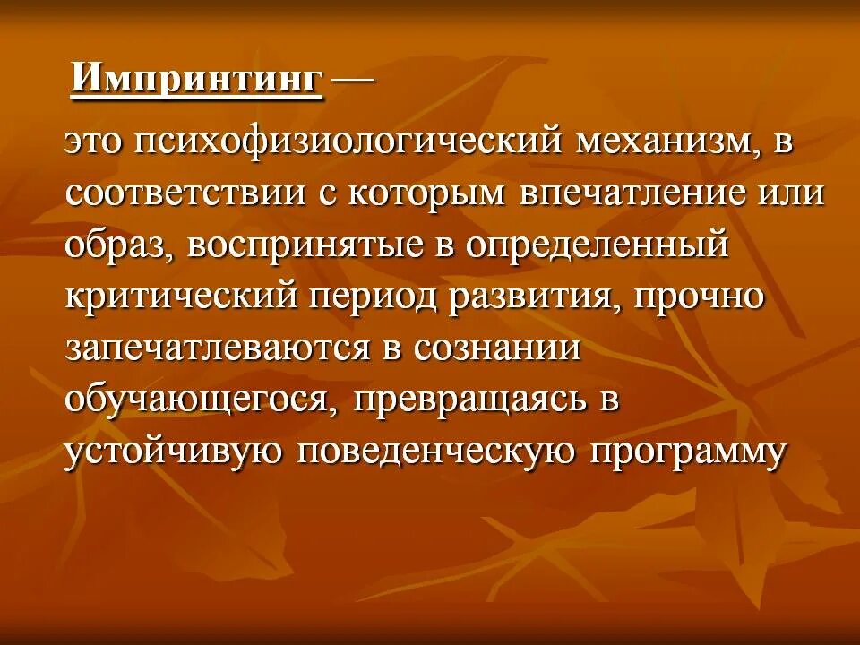 Запечатление это в биологии. Запечатление это в психологии. Импринтинг. Импринтинг примеры у человека. Импринтинг это в психологии.
