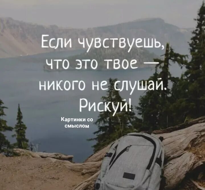 Если чувствуешь что это твое никого не. Если чувствуешь что это твое никого не слушай. Если чувствуешь что это твое никого не слушай рискни. Рискуй цитаты.