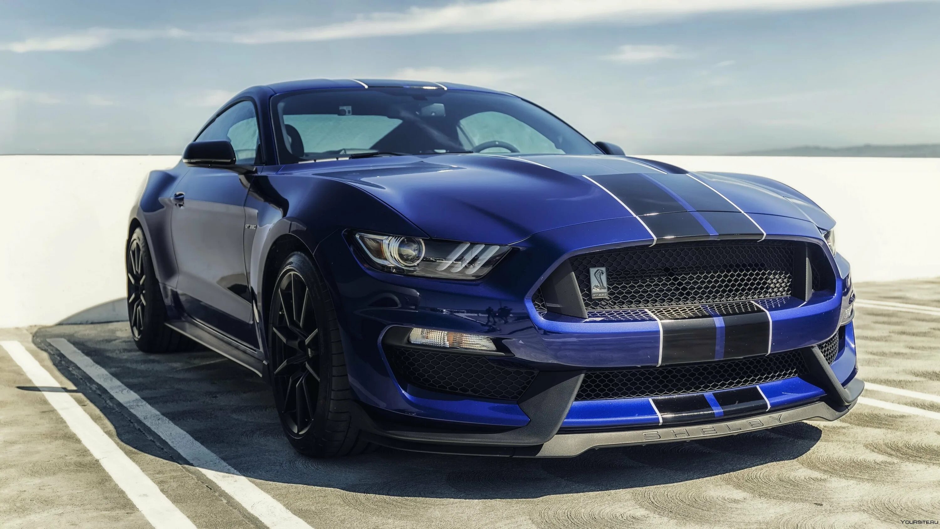 Форд Мустанг gt. Ford Mustang Shelby gt350. 2018 Ford Mustang Shelby gt350. Форд Мустанг gt 2017. Стол мустанг