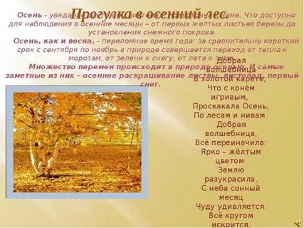 Текст описания осенний парк