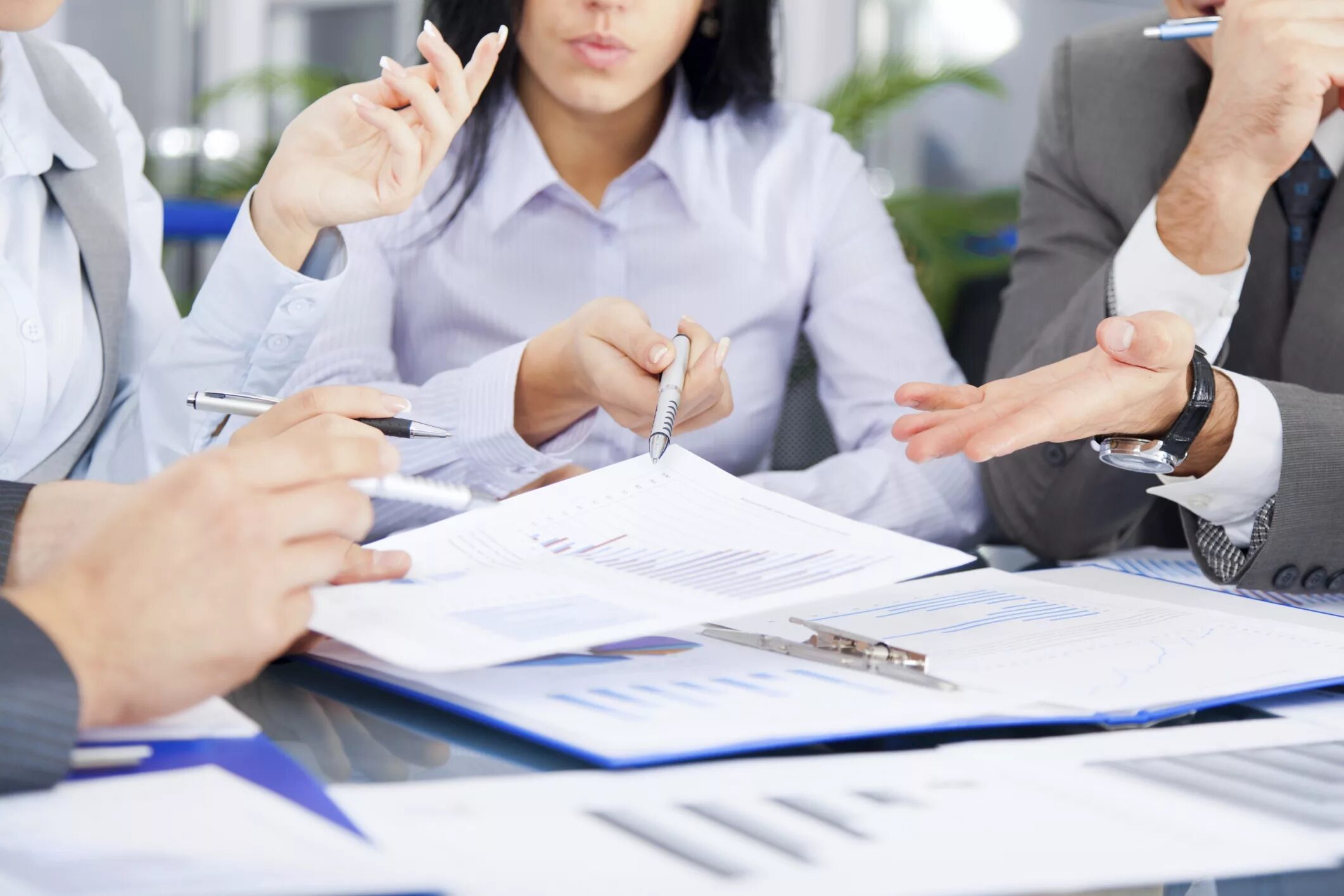Audit organization