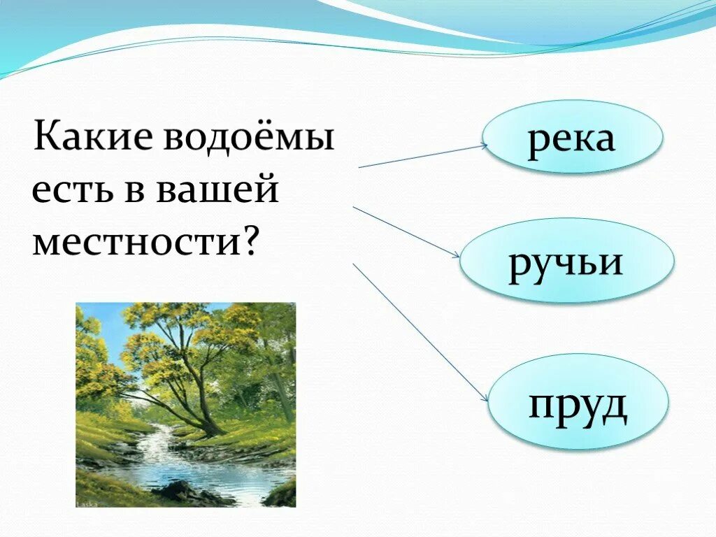 Какие водоемы. Какие водоёмы есть в твоей местности. Какие водоемы есть в нашей местности. Что такое водоём 2 класс. Водоем конспекты занятий