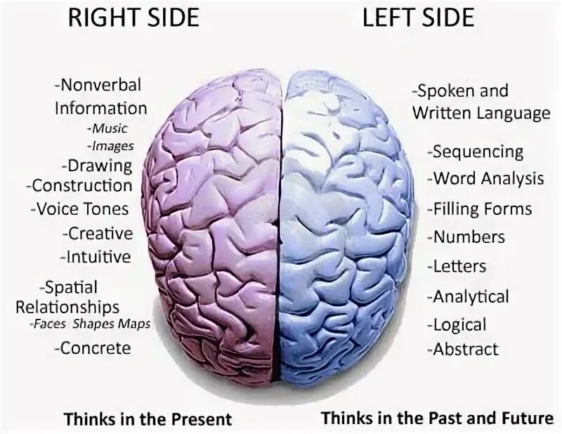 Left and what is new. Left and right brain functions. left and right hemisphere. left brain right brain. дислексия.