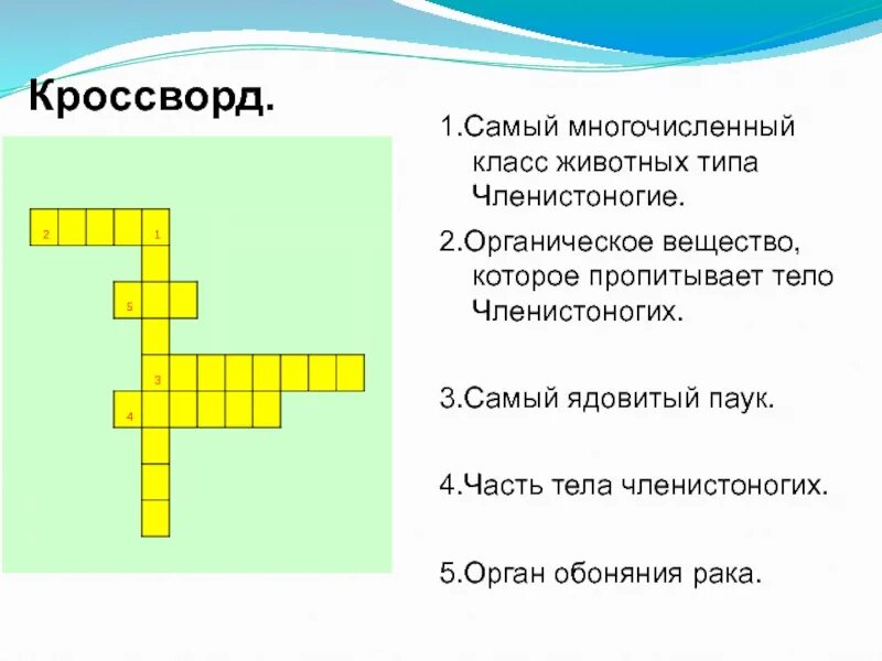 Ракообразные кроссворд 7 класс. Кроссворд на тему членистоногих. кроссворд по типу членистоногих. тип членистоногие кроссворд. кроссворд класс ракообразные.