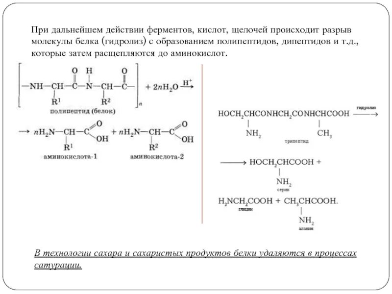 Полипептиды с азотной кислотой дают. Щелочной гидролиз дипептида. Гидролиз дипептида в щелочной среде. Дипептиды щелочной гидролиз. Гидролиз дипептида в солянокислой среде.