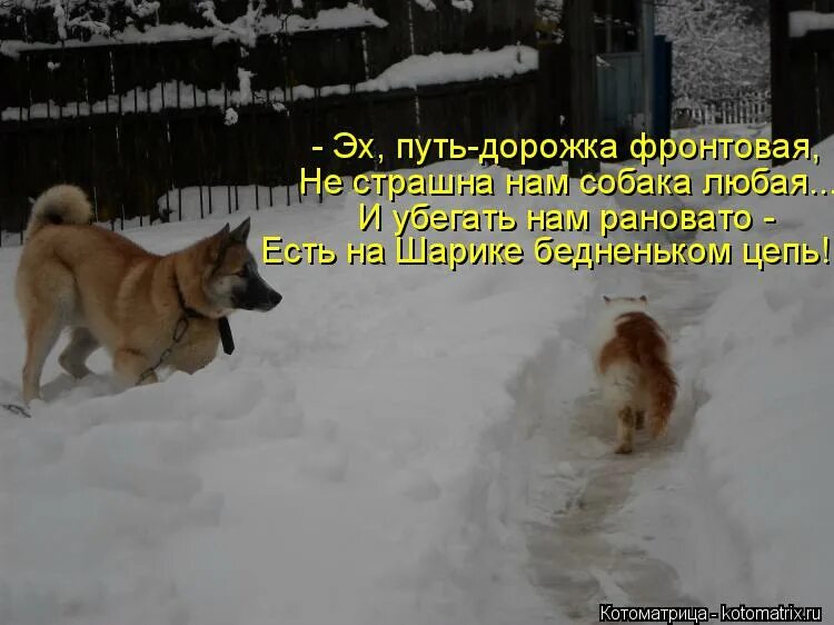 А туда где говорят зимы не бывает. Русский 5 класс номер 247. Чем ниже человек душой тем выше. А туда где говорят зимы не бывает. Шарик я как и был на цепи.