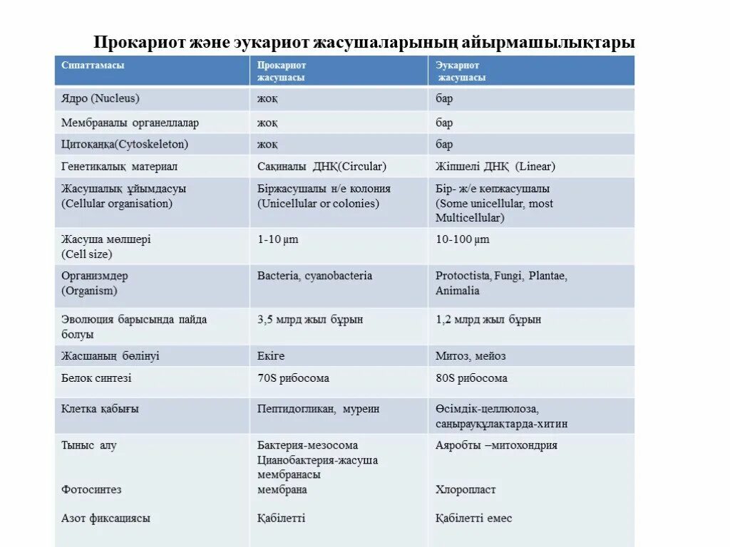 Дайте обозначение прокариоты и эукариоты. Слайд прокариоты и эукариоты. Прокариоттар слайд. Прокариоты и эукариоты презентация вывод. Презентация сравнение прокариот и эукариот.