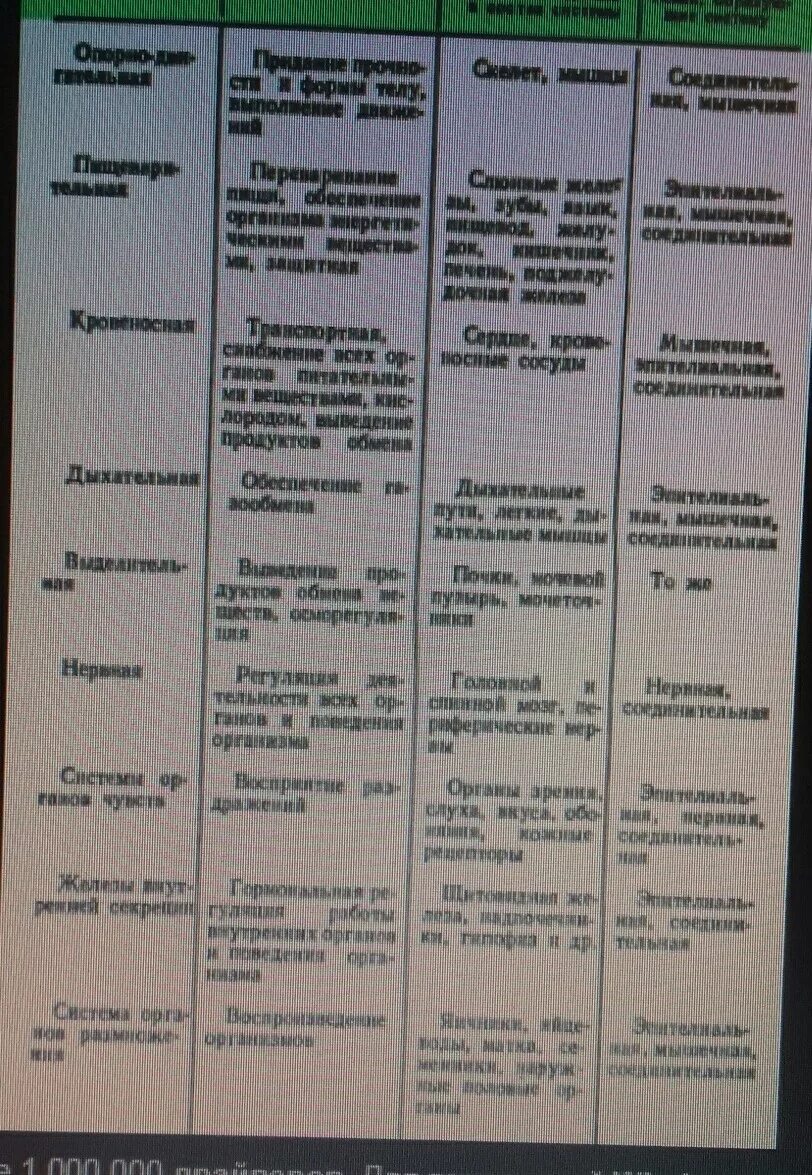 Таблица по пищеварению 8 класс биология. Система органов таблица 7 класс биология. Системы органов таблица 8 класс биология. Таблица по биологии 8 класс система органов органы функции. Таблица система органов их строение и функции таблица.