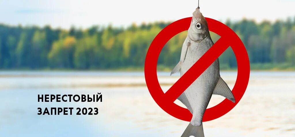 Нерестовый запрет 2023. Запрет рыбы. Запрет на лов рыбы. Ловля в нерестовый запрет.