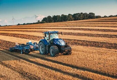 Holland farm