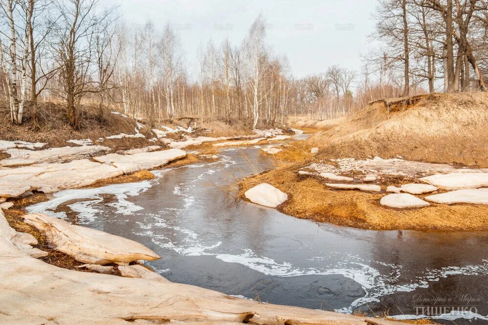 Тает снег бегут ручьи. Ручьи весной. Весенние ручьи. Снег сходит с пригорков веселыми