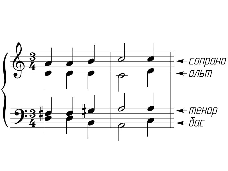 Диапазон пианино бас тенор. Сопрано альт тенор бас. Бас баритон тенор альт сопрано. Названия женских и мужских голосов. Певческие голоса презентация.