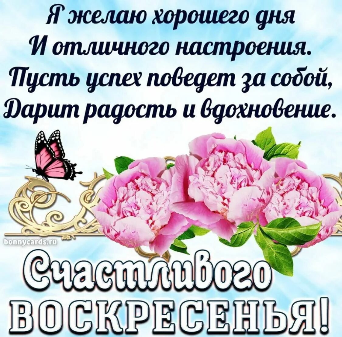 Пожелания на воскресенье. Пожелания с добрым воскресным утром. Пожелания доброго воскресного дня. Воскресные открытки.