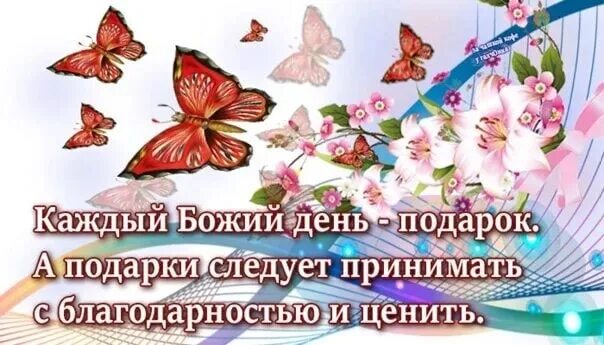 Каждый день подарок Божий. Каждый новый день это подарок. Примите новый день в подарок. Картинки каждый день это подарок. Благодарно принимать