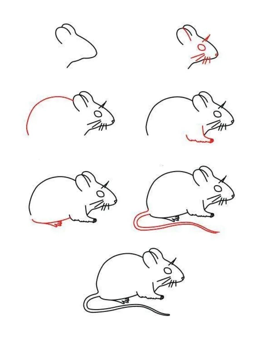 Поэтапное рисование крысы. Рисования мышки пошагово. Крыса рисунок. Мышка рисунок для детей карандашом. Как легко нарисовать мышку